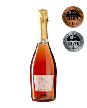 Senza titolo (2000 × 2500 px) - 2