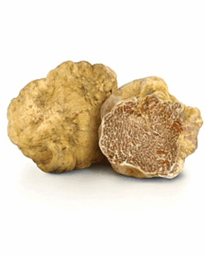 small-tartufo-bianco
