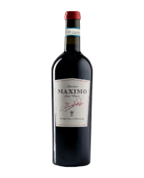 maximo - cantina dazio maximo - cantina dazio